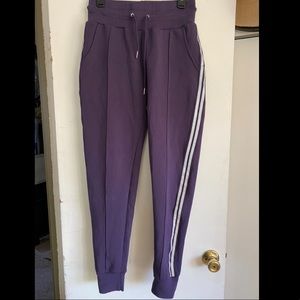 Buffbunny purple joggers with reflective sides
